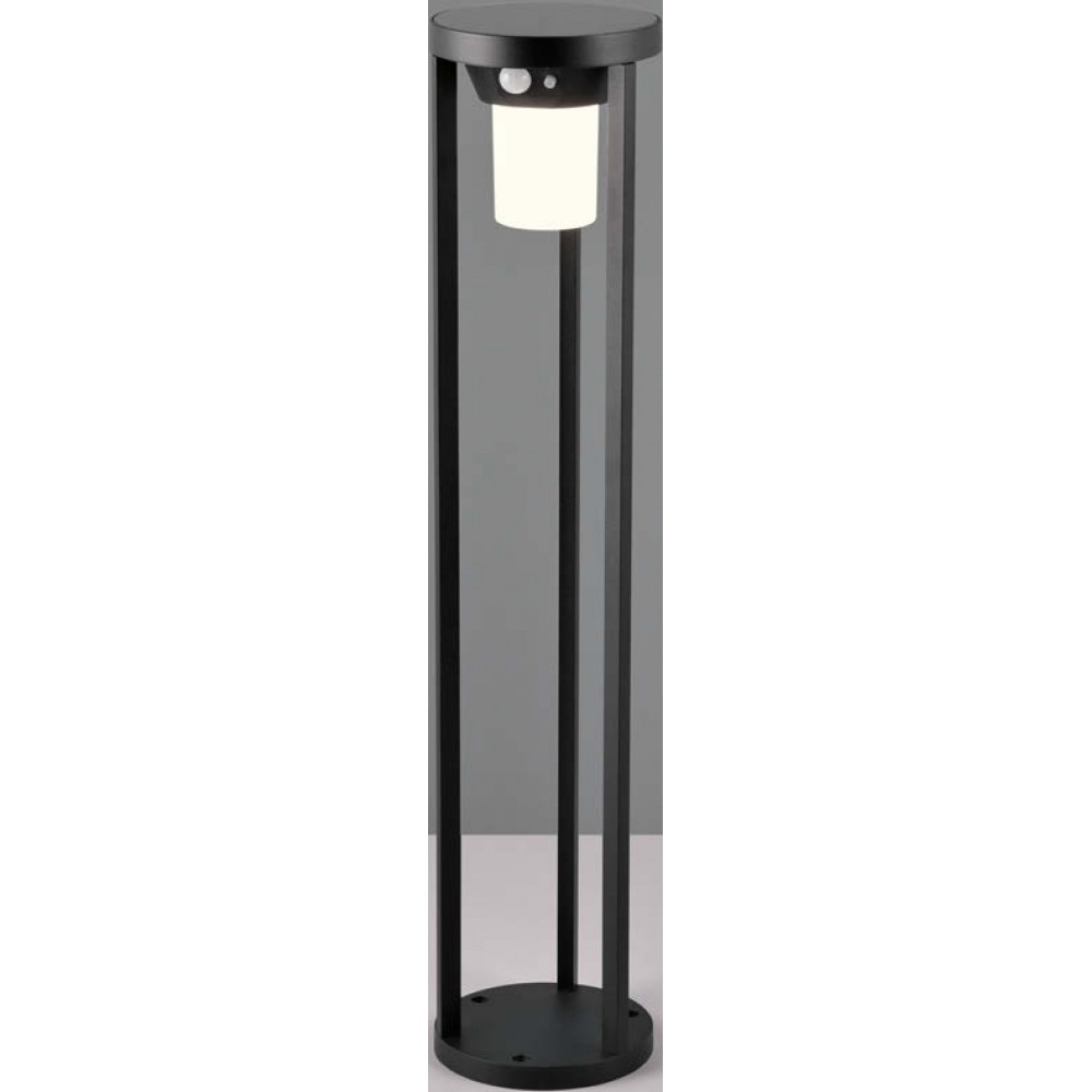 Solar pole with led and motion detector (studded).