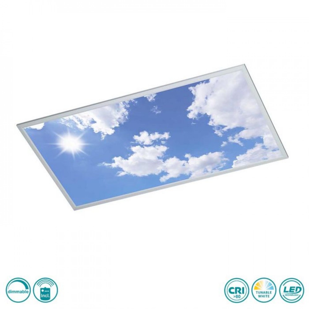Led ceiling light with silver finishing and sky image.